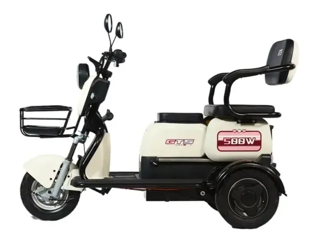 TRICICLO ELETRICA T5 500W BRANCO/CINZA BATERIA DE CHUMBO 60V MARCA GTS - JD-20