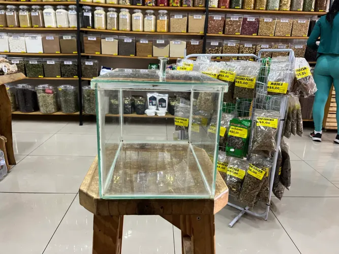 Pote, barrica de vidro
