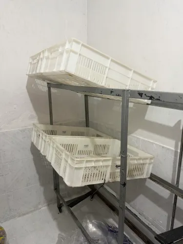 FRUTEIRA DE FERRO