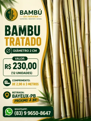BAMBU TRATADO DE ALTA QUALIDADE - PRONTA ENTREGA!