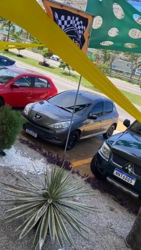 Peugeot 207 XR Sport 1.4 Flex 8V 5P 2009