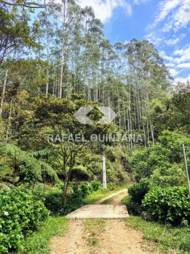 VENDA: Terreno com 4 hectares para Sítio ou Empreendimento Turístico, Aguas Mornas - SC