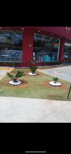 Jardineiro