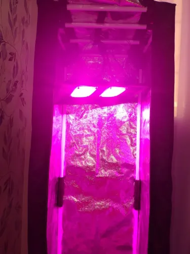 Estufa de cultivo compacta com iluminação LED