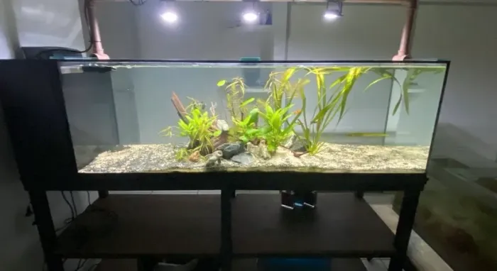 Aquário 160x40x50 (sump lateral) mais a mesa