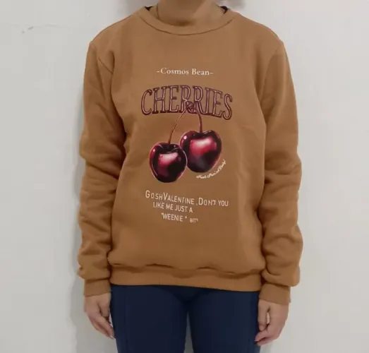 Blusa Moletom Básica Feminina - Tamanho Único Cor Marrom