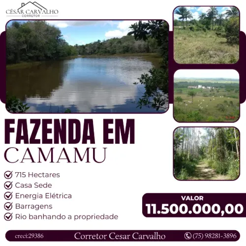 FAZENDA EM CAMAMU - 715 HECTARES