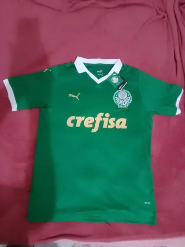 Camisa do palmeiras
