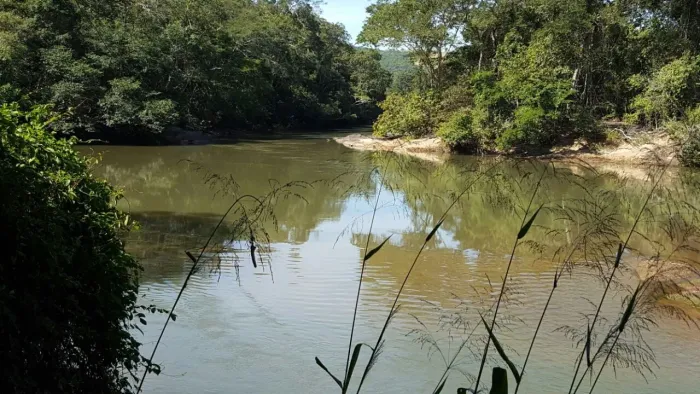 Fazenda Extra 105 Alqueires - Morrinhos/Go