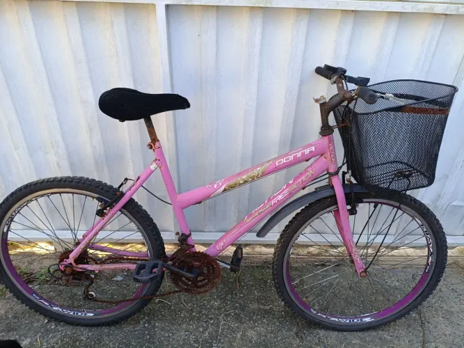 Bicicleta adulto
