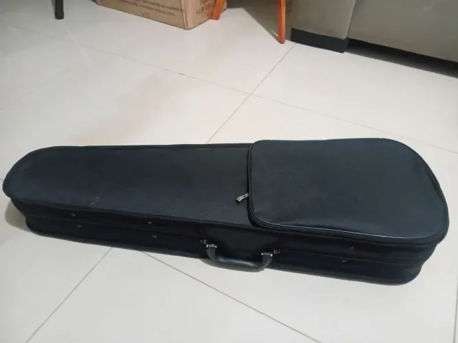 Violino