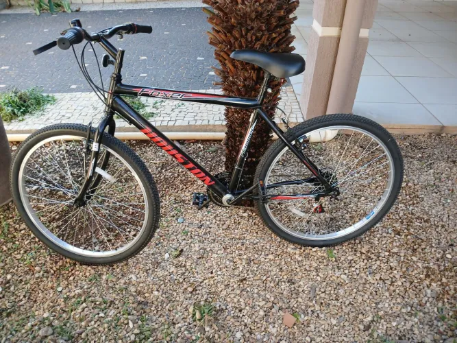 BICICLETAS ADULTO E INFANTIL 