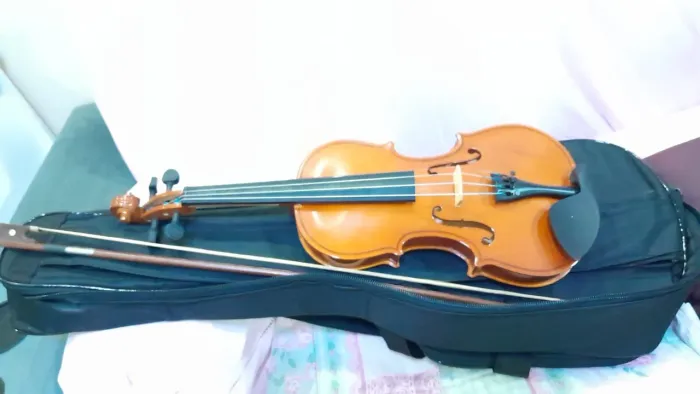 Violino (pouco usado)