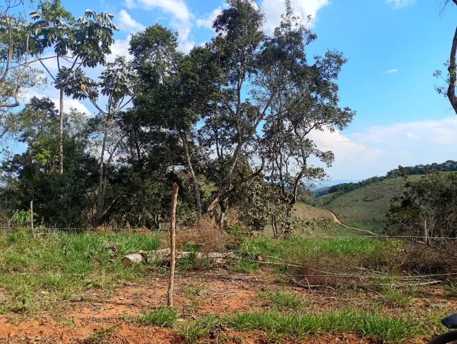 Granja em Pedro Teixeira MG