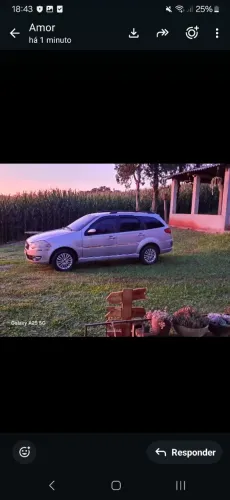 Fiat Palio Weekend ELX 1.4 MPI Fire Flex 8V 2009