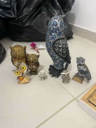 Decoração coruja tudo 50$