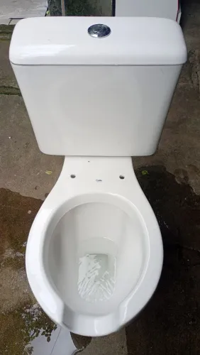 Vários vasos