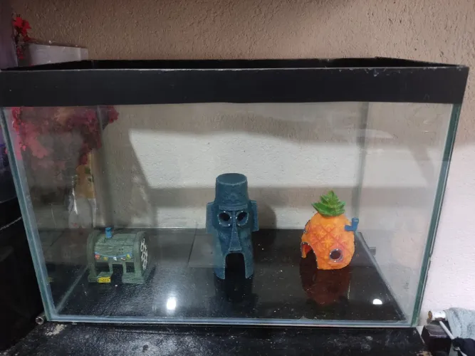 Aquario Grande pra vender logo