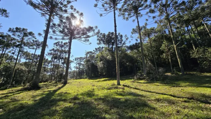 Terreno com 10.8 hectares em Rio Rufino.