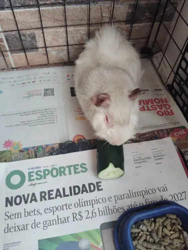 Doação