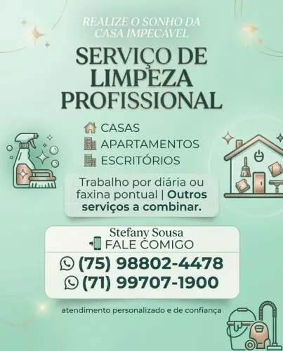 Limpeza Profissional