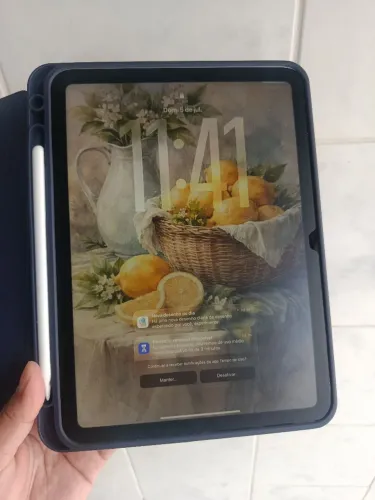 iPad 11