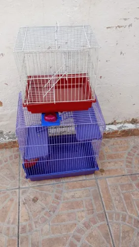 Gaiolas de hamster