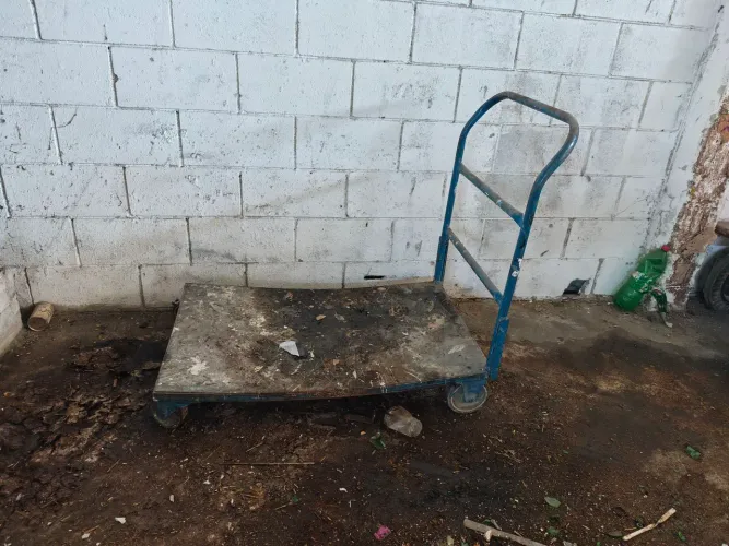 Carrinho plataforma médio