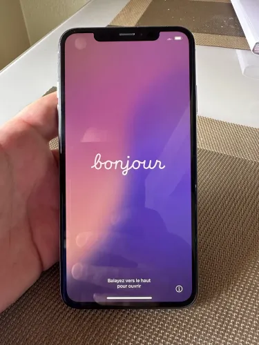 iPhone XS Max 256G