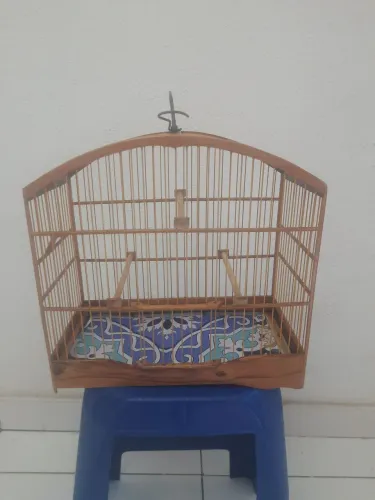 Gaiola em estado de nova