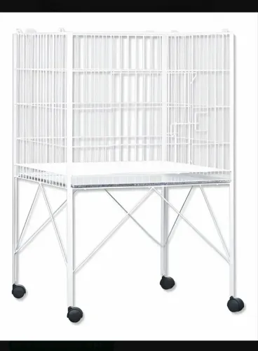 Gaiola Frangueira Para Frangos Com Pé Gaiolas Londrina Branco