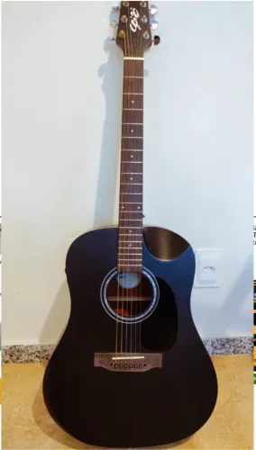Violão Seizi Supreme Ryu Black Top Fishman