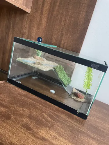 Aquário / terrário