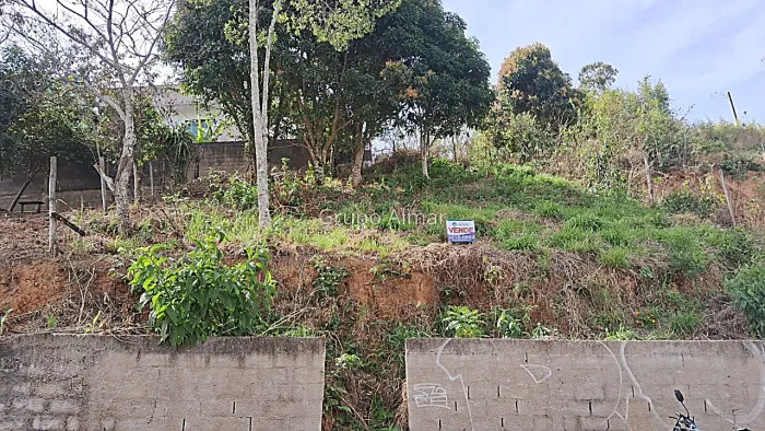 Lote / Terreno - Bom Pastor