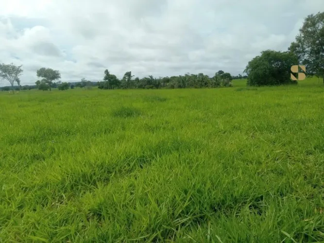 Fazenda em Mirassol do Oeste com 218 hectares