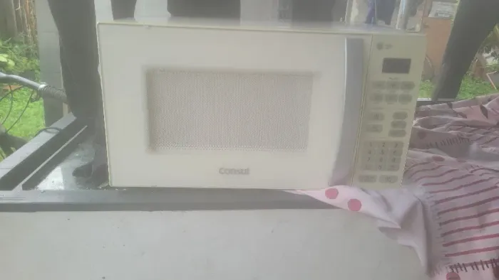 microondas
