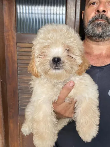 pudool com okichare