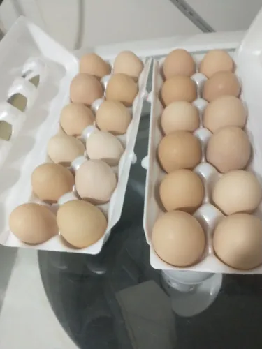 Vendas de ovos caipira