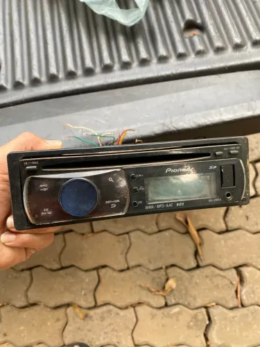 Pioneer Golfinho Relíquia