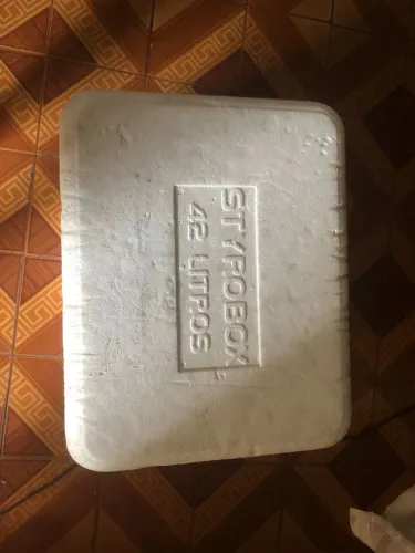 Caixa de isopor 42 litros Realengo