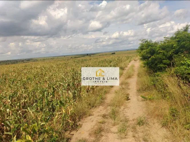Oportunidade Estratégica no MATOPIBA 16.000 ha com Alto Potencial de Expansão Agrícola