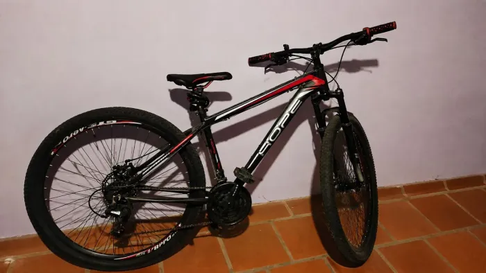 Bicicleta