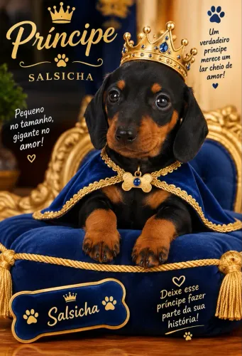Salsicha macho