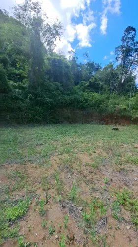 Sítio / Chácara para Venda em Fundão