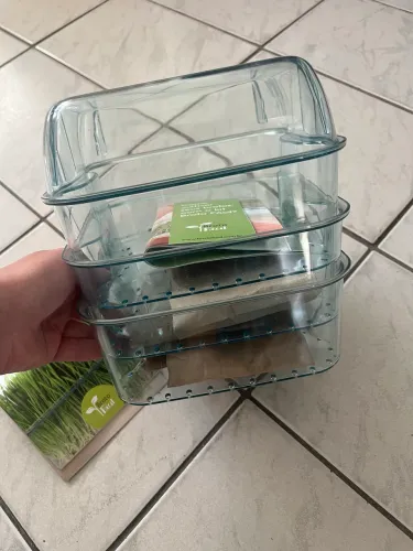 Caixa para para plantar temperos indoor