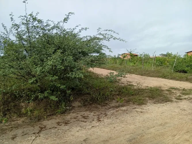 Terreno 