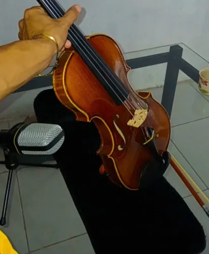 Violino de oficina profissional