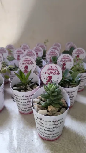 Lembrancinhas de cactos e suculentas