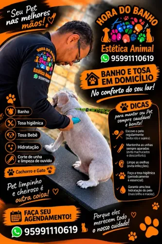 Banho e tosa em domicílio ou buscamos seu Pet com segurança.