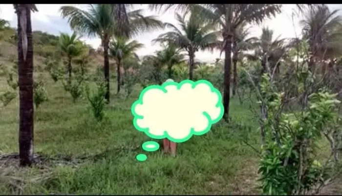 Terreno com registro rural em Saco Encantando, Salgado, Sergipe. 
